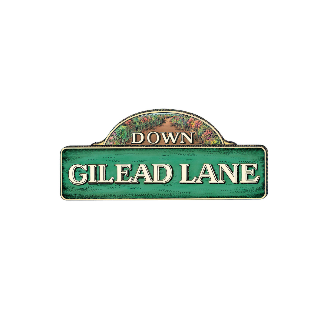 Down Gilead Lane And Beyond Gilead Lane Specials Keys For Kids Ministries Down gilead lane and beyond gilead lane specials keys for kids ministries
